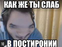 362x271