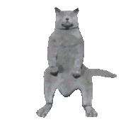 bKdnsJrX.жипег