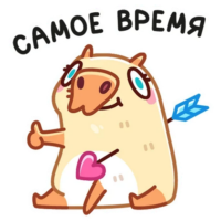 qqZPvemL.жипег